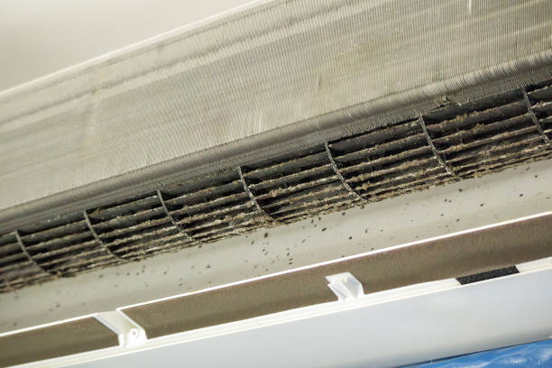 Best Home Air Vent Cleaning  in Campbelltown, PA
